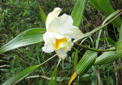 Inca Trail Group Service by Group