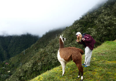 Inca Trail Group Service by Group