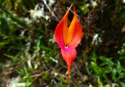 Inca Trail Group Service by Group