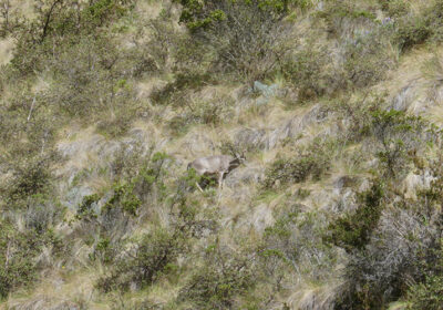Inca Trail Group Service by Group