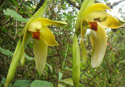 Inca Trail Group Service by Group