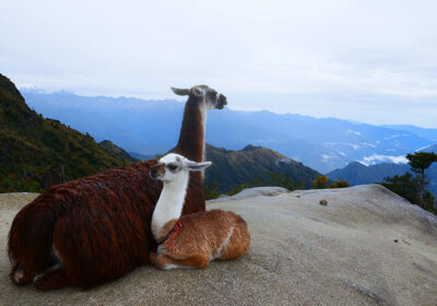 Inca Trail Group Service by Group