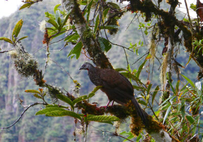 Inca Trail Group Service by Group