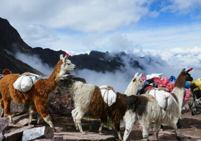 Lares Trek