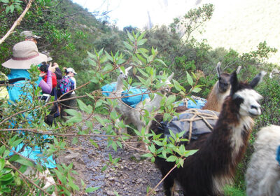 Lares Trek 4D/3N