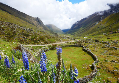 Salkantay-Santa Teresa 5D