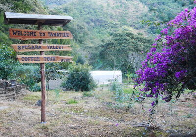 Vilcabamba-Machu Picchu