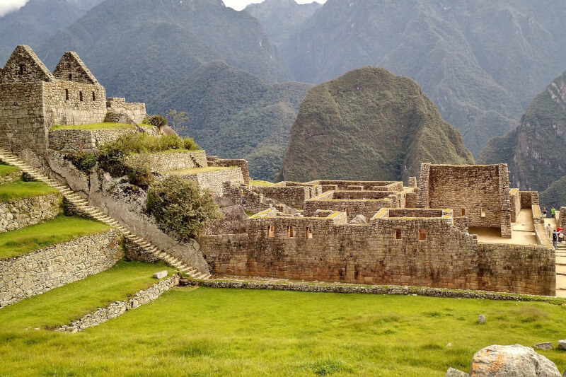 The Wildlife of Machu Picchu