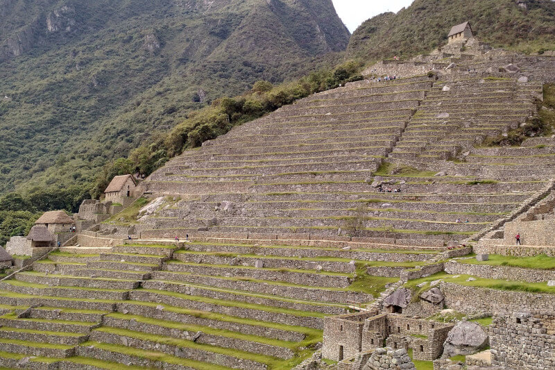 The Wildlife of Machu Picchu